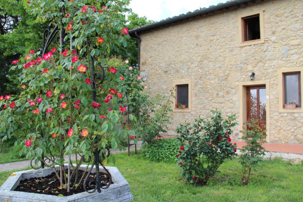 Agriturismo Il Castagnolino San Gimignano Quarto foto